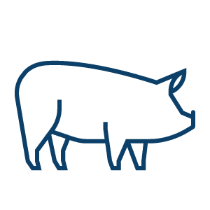 an icon of a pig to represent hogs