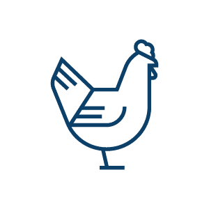 an icon of a chicken to represent poultry