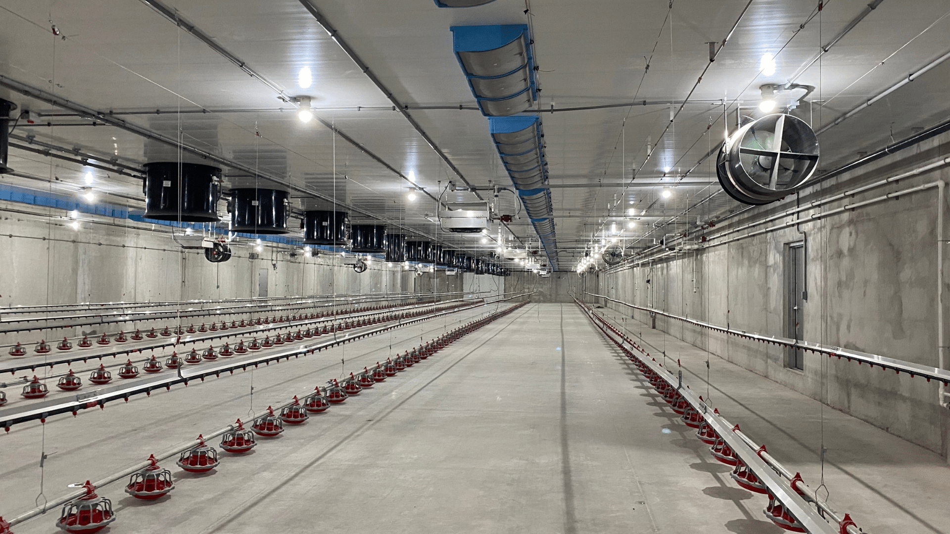 A cutting-edge poultry machine housed in a spacious warehouse.