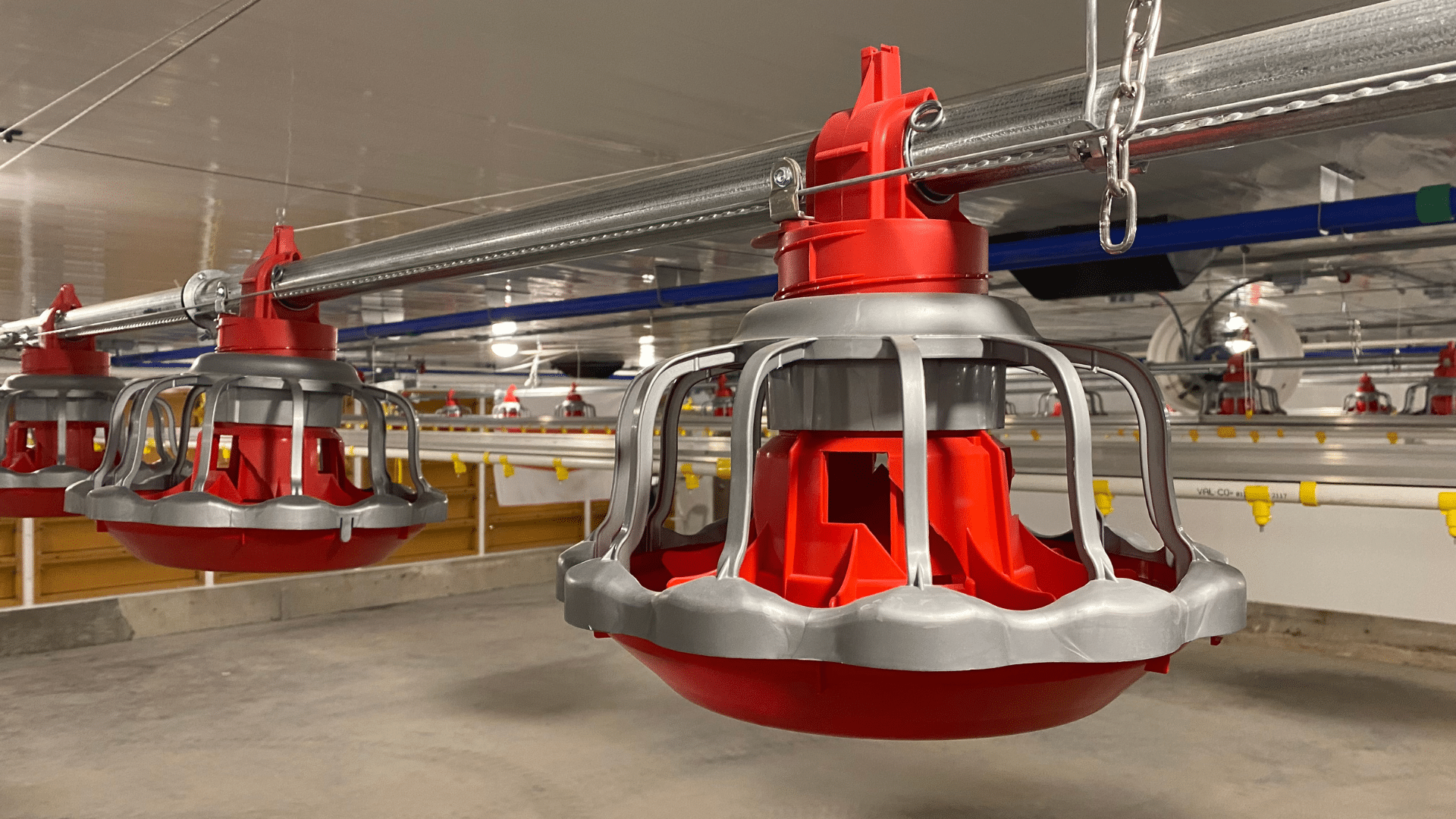 Close-up of a large red poultry machine within a dedicated room designed for its use.