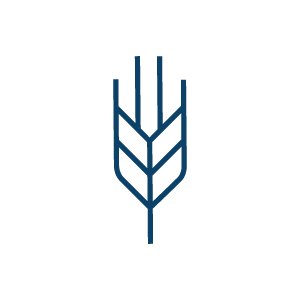 A blue icon of a piece of grain